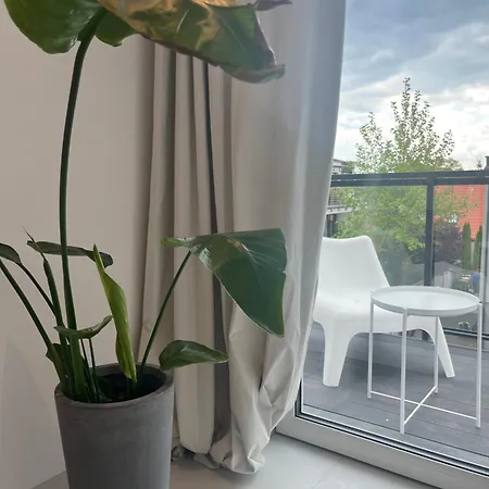 Bed and breakfast Pod Różą *