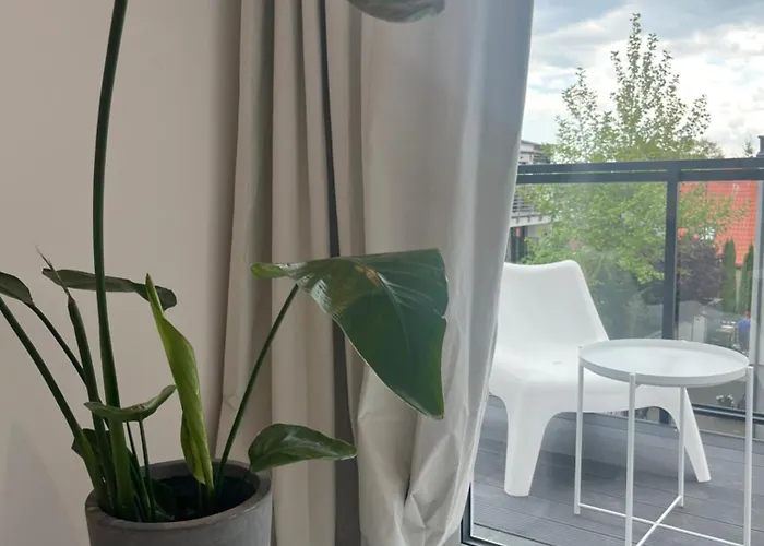 Nocleg ze śniadaniem Pod Różą 3*